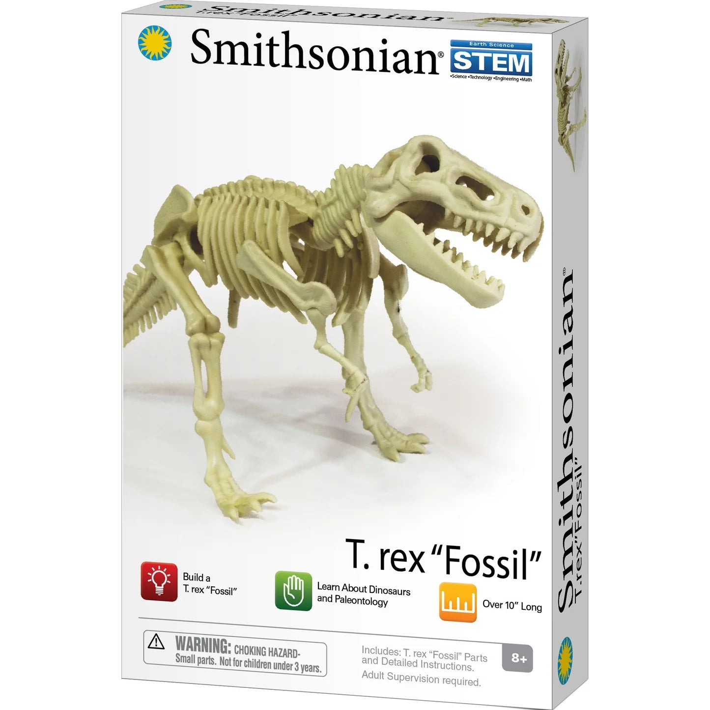 SMITHSONIAN DINOSAUR FOSSIL