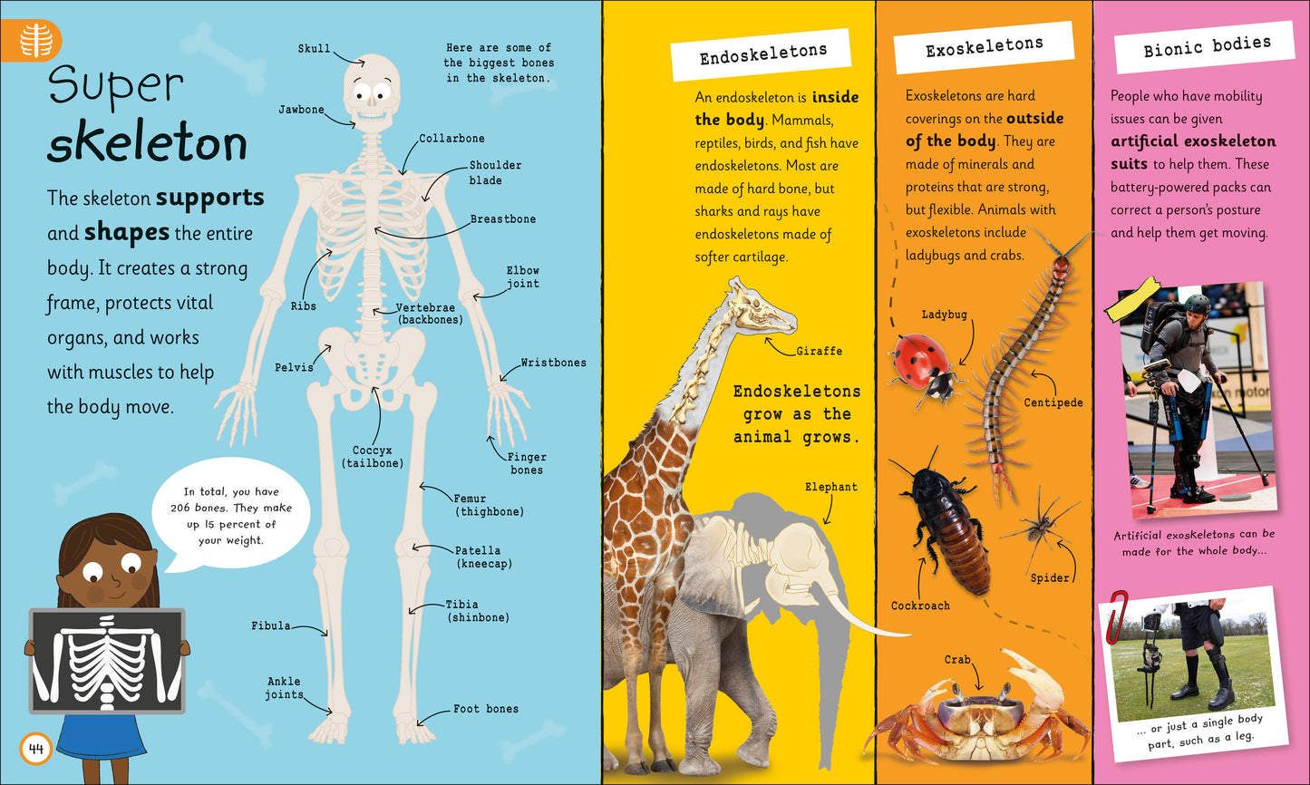 MY VERY IMPORTANT HUMAN BODY - ENCYCLOPEDIA