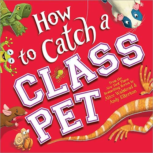 HOW TO CATCH A CLASS PET