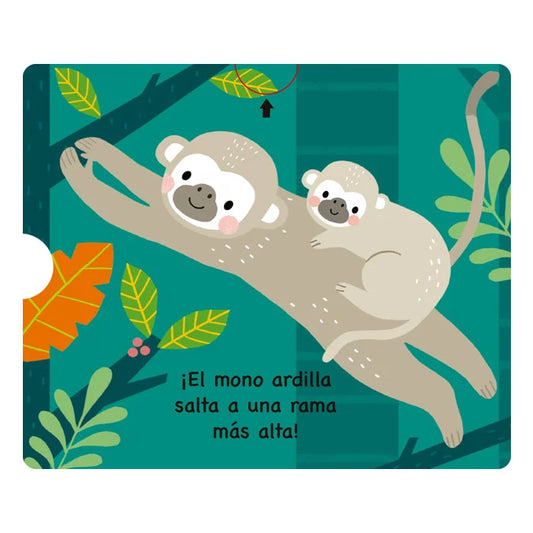 ANIMALES DEL BOSQUE TROPICAL