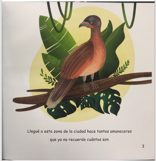 Chachalaca Y Su Viaje Inesperado