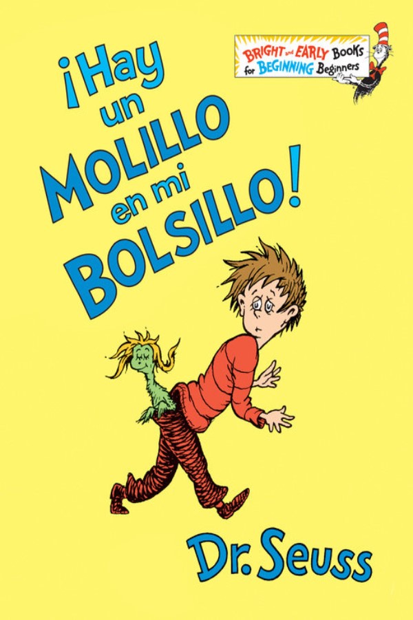 Hay Un Molillo En Mi Bolsillo