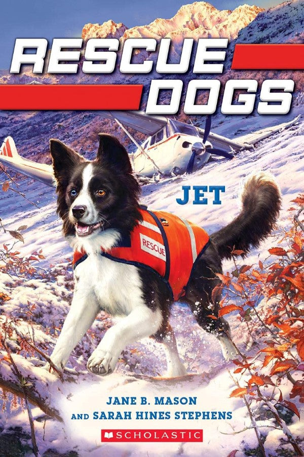 Rescue Dogs #3 - Jet