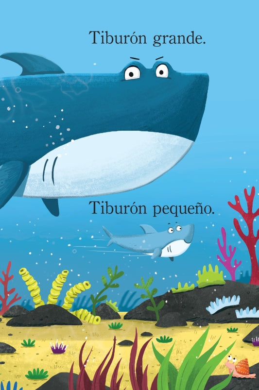 Tiburon Grande Tiburon Pequeño