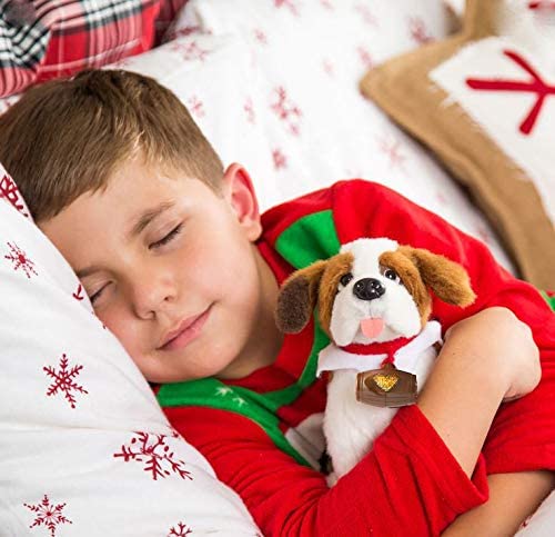 UNA TRADICION DE SAN BERNARDO