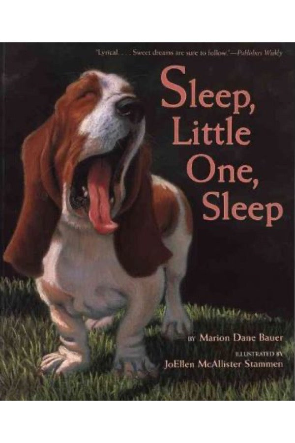 Sleep Little One Sleep