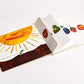 CATERPILLAR BOARD BOOK & CD