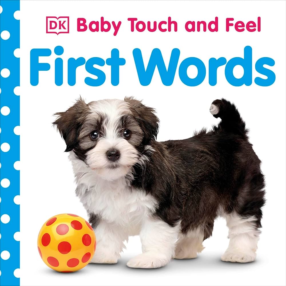 BABY TOUCH AND FEEL FIRST WORDS BB