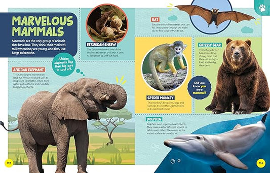 ENCYCLOPEDIA OF ALMOST EVERYTHING