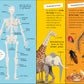 MY VERY IMPORTANT HUMAN BODY - ENCYCLOPEDIA