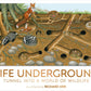 LIFE UNDERGROUND