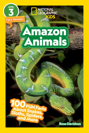 AMAZON ANIMALS