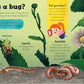 BUGS AND SLUGS FULL OF FUN FACTS