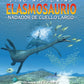 ELASMOSAURIO NADADOR DE CUELLO LARGO