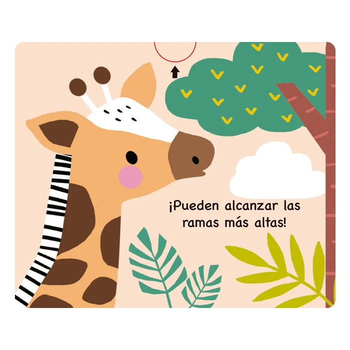 ANIMALES SALVAJES