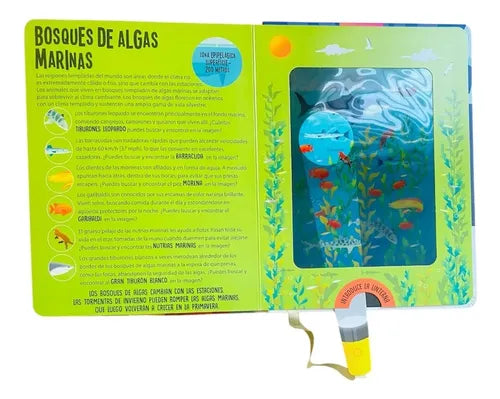 BUSCA Y ENCUENTRA LINTERNA - ANIMALES MARINOS