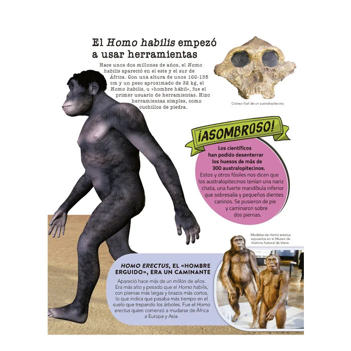 EL LIBRO DE TODAS LAS COSAS