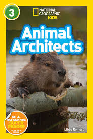 ANIMAL ARCHITECTS