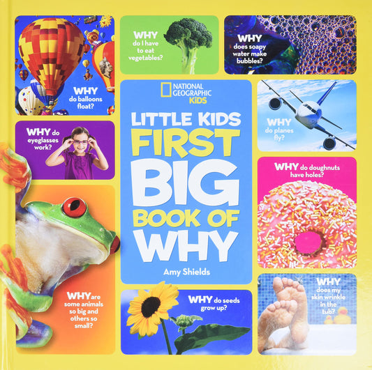 LITTLE KIDS FIRST BIG BOOK OF WHY