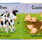 Animales Y Numeros