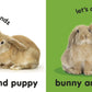 Baby Touch And Feel Bunny