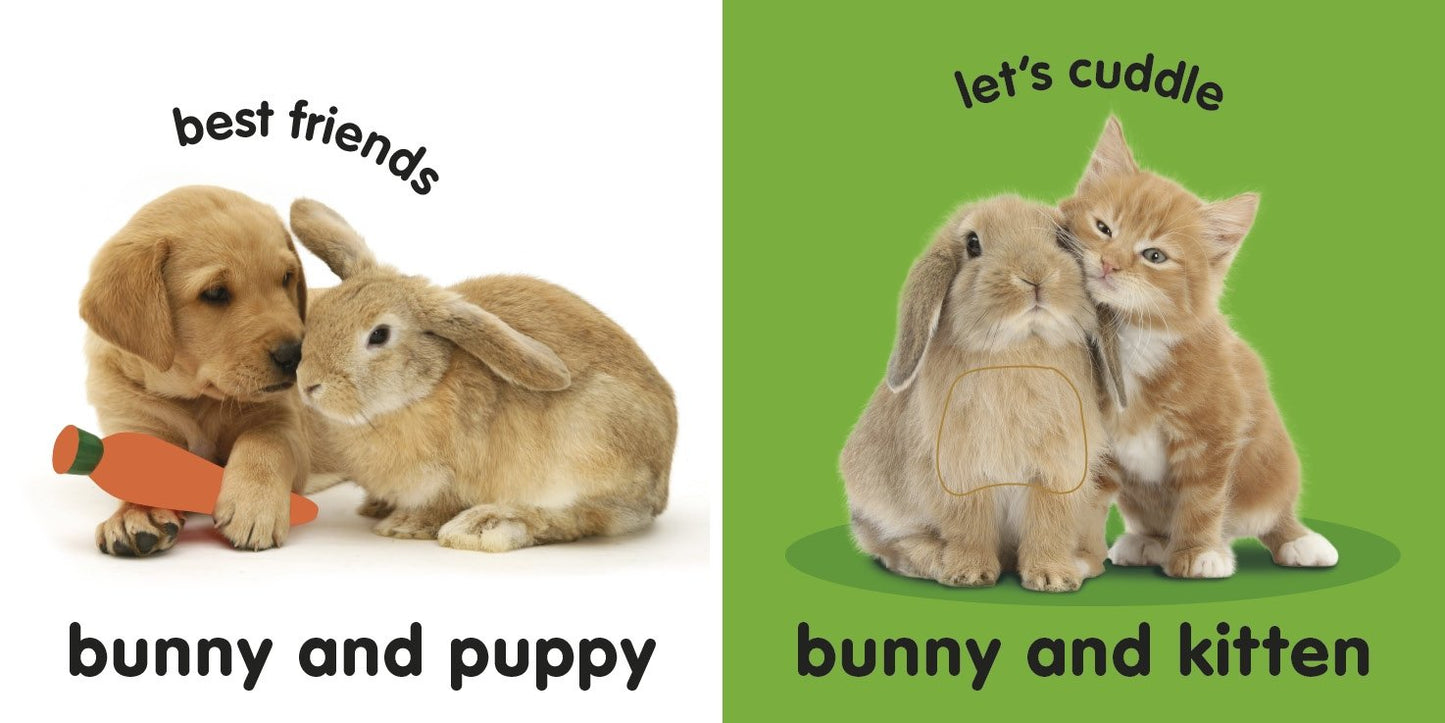 Baby Touch And Feel Bunny