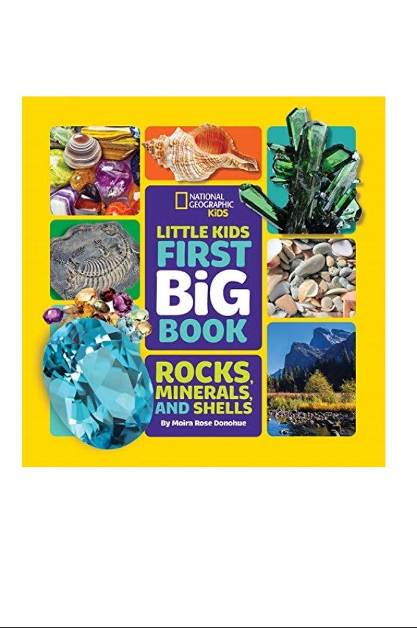 Little Kids First Big Book Of Rocks Minerals And Shells