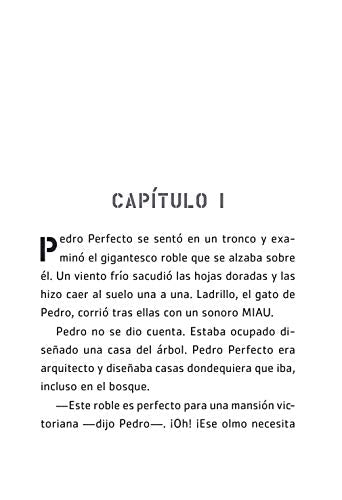 Pedro Perfecto Y La Mansion Misteriosa