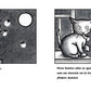 Primera Luna Llena De Gatita