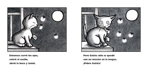 Primera Luna Llena De Gatita