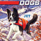 Rescue Dogs #3 - Jet