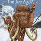 What Was The Ice Age