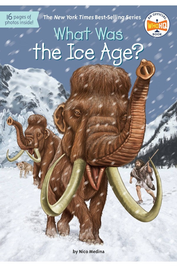 What Was The Ice Age