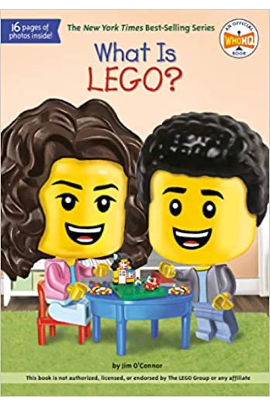 What Is Lego?