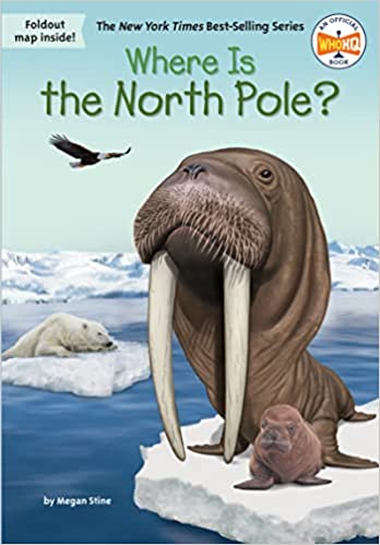 WHERE IS THE NORTH POLE?